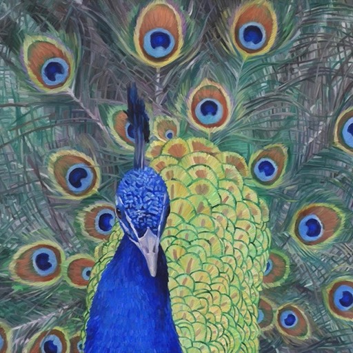 Image Scone Palace Peacock