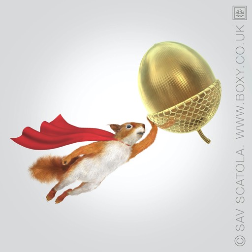 Image Abbey Squirrel