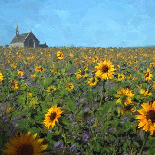Image Sunflower Field
