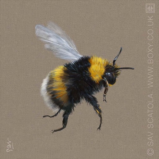 Bumblebee